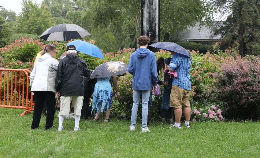 A group releases a butterfly into nearby bushes